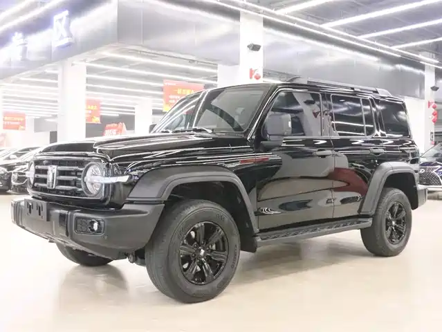 2024 TANK 300