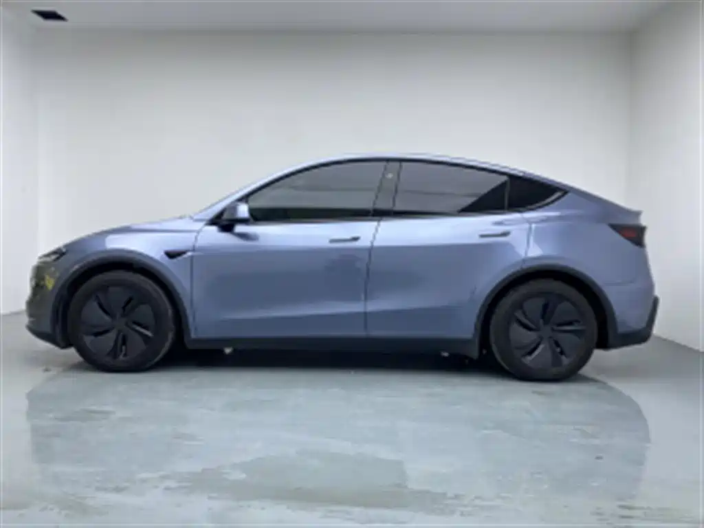 Tesla Model Y — миниатюра 4