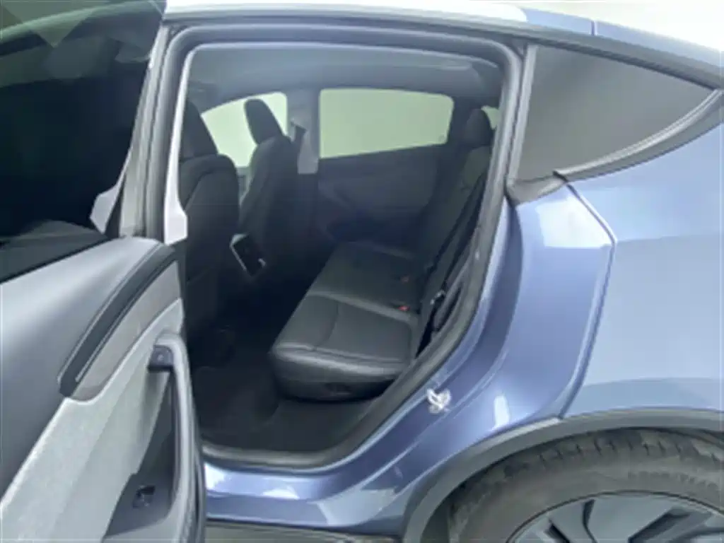 Tesla Model Y — миниатюра 13
