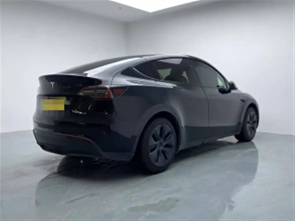 Tesla Model Y — миниатюра 15