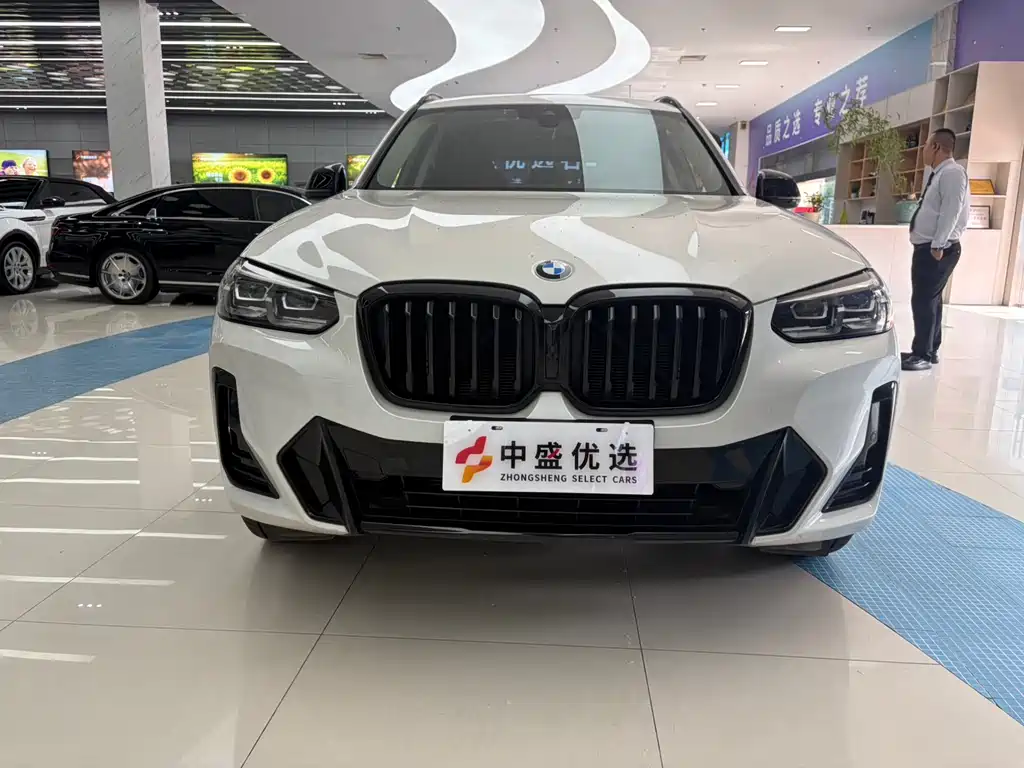 BMW X3 — миниатюра 2