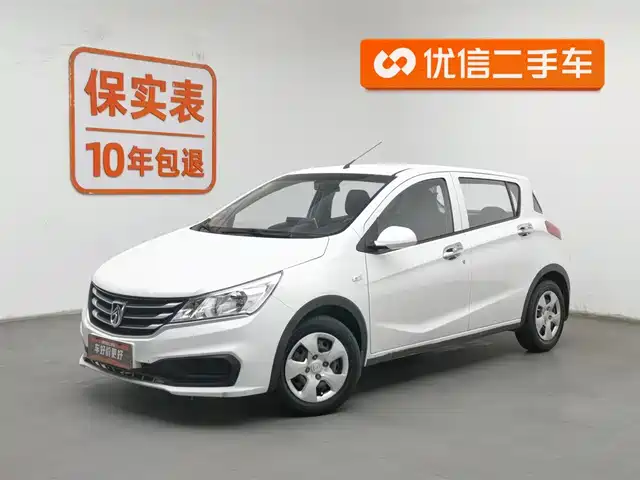 BAOJUN 310