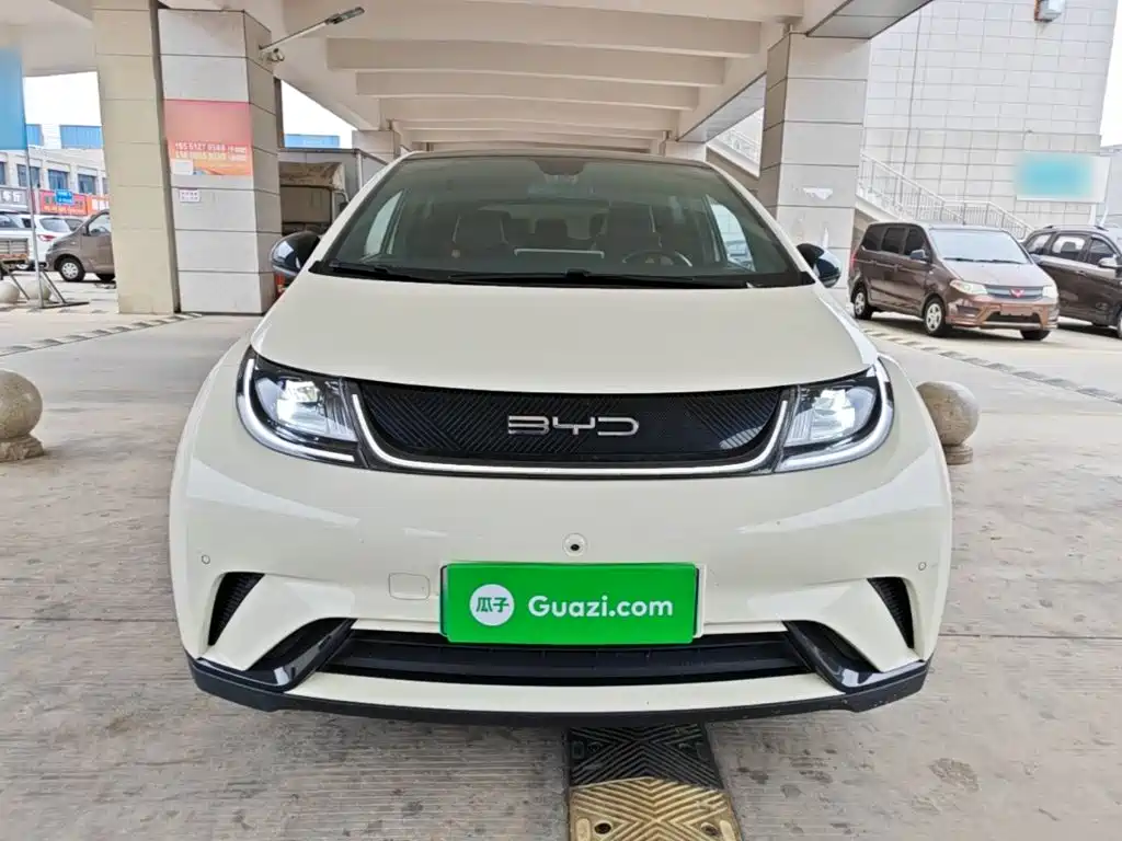 BYD Dolphin — миниатюра 3