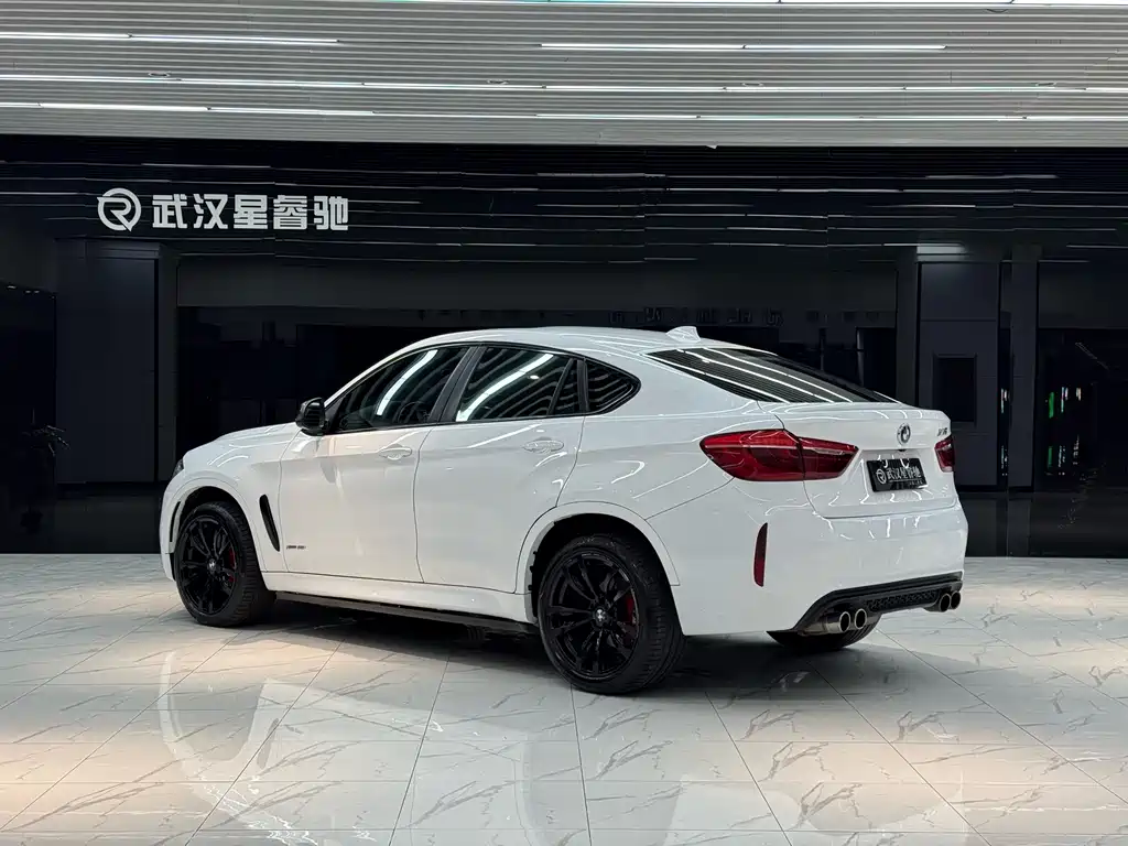 BMW X6 — миниатюра 4