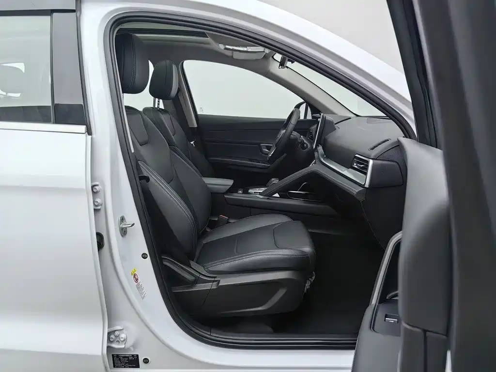 BYD Pro — миниатюра 23