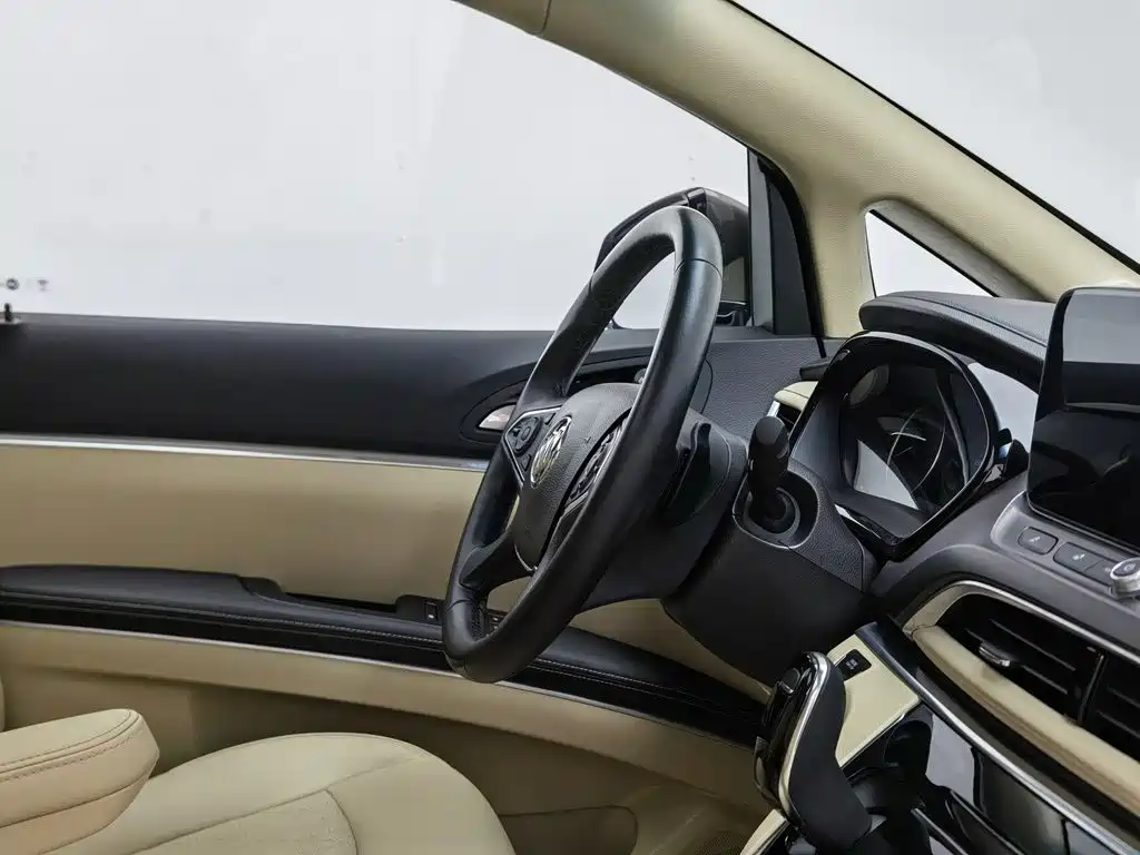 Buick GL8 — миниатюра 22
