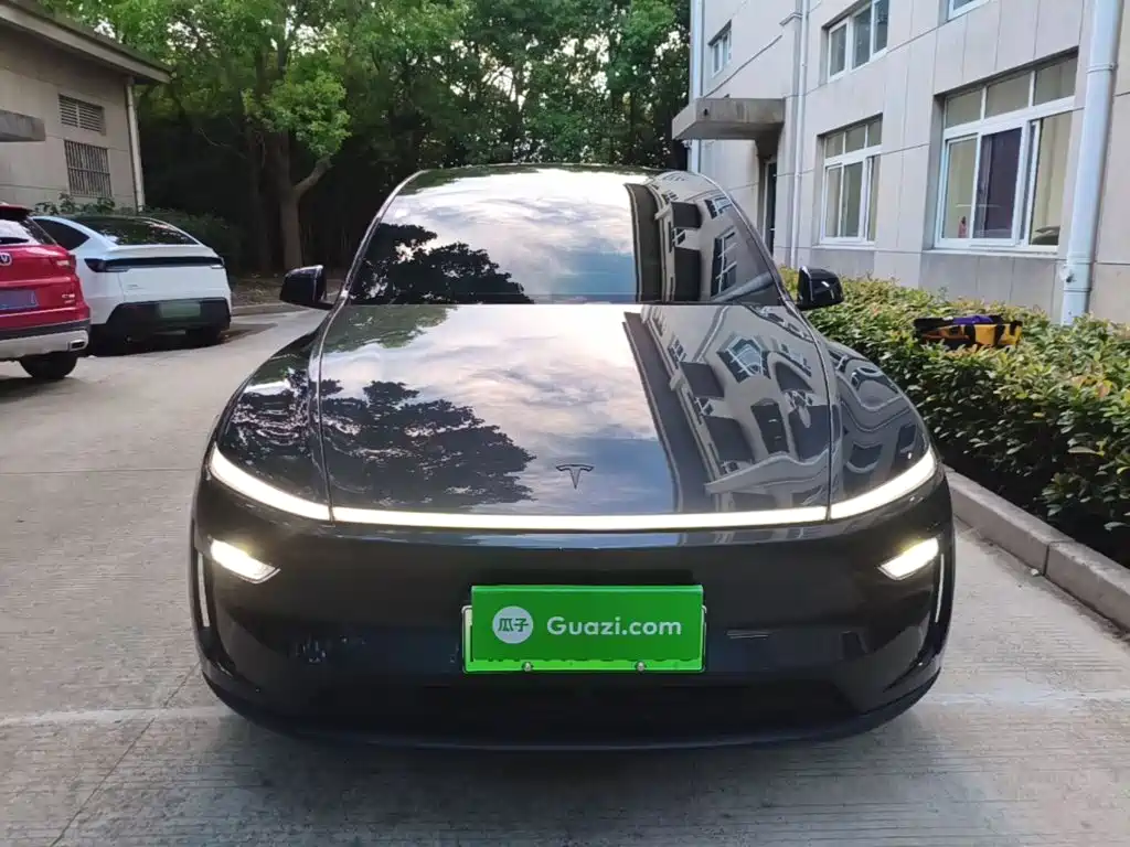 Tesla Model Y L — миниатюра 3
