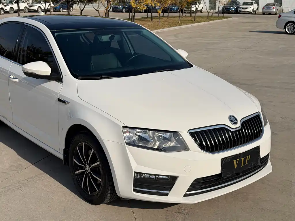 Skoda Octavia — миниатюра 3