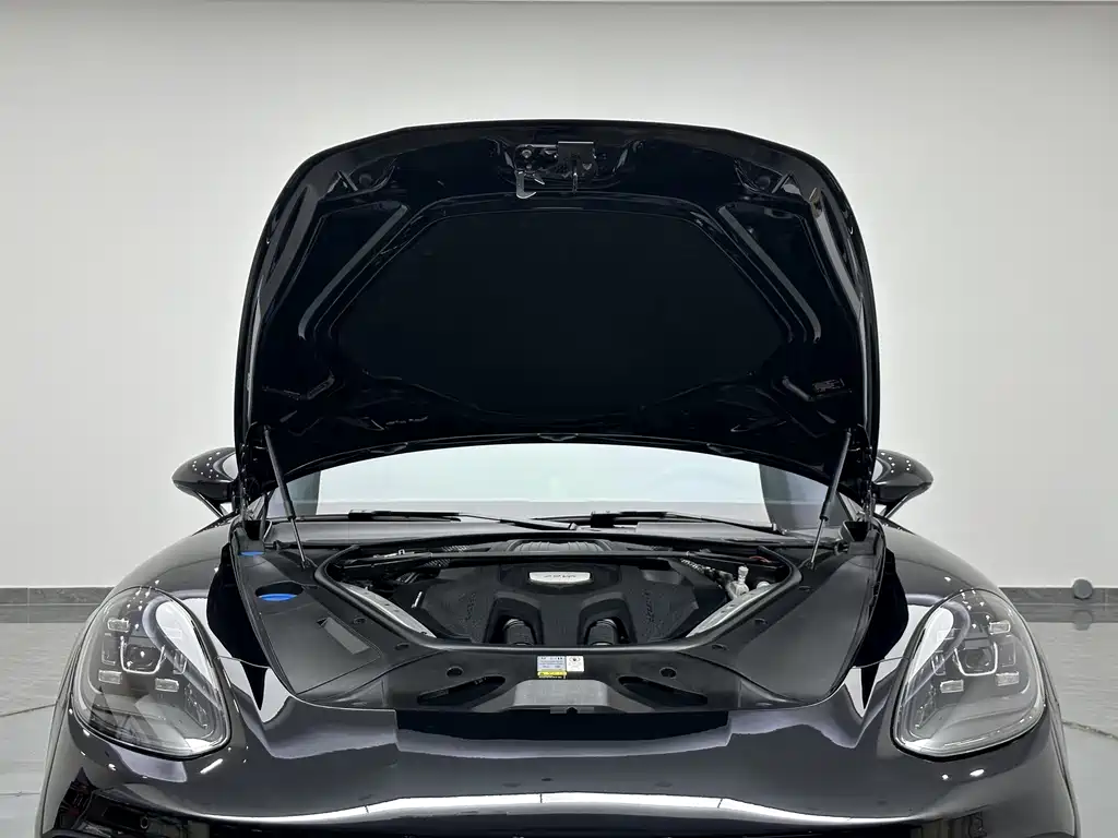 Porsche Panamera — миниатюра 19