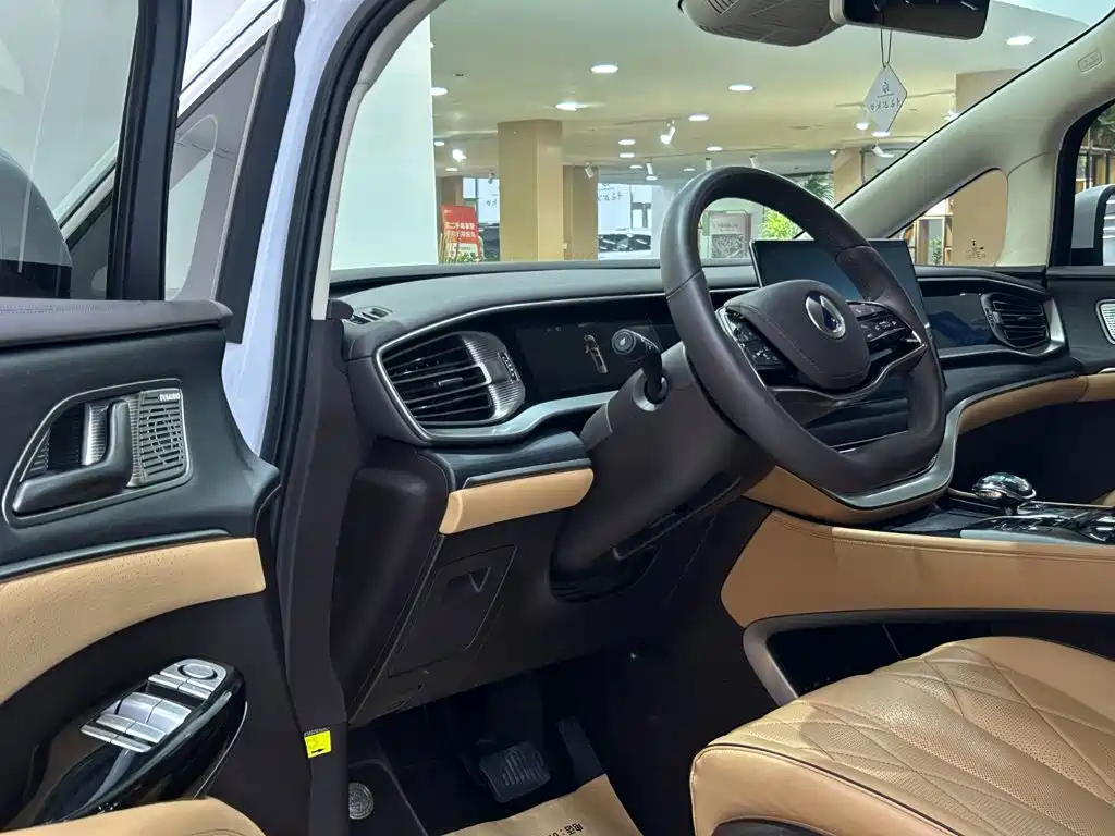 Denza Denza D9 — миниатюра 14