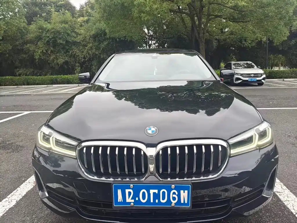 BMW 5 Series 5 2021 530Li Lead Luxury