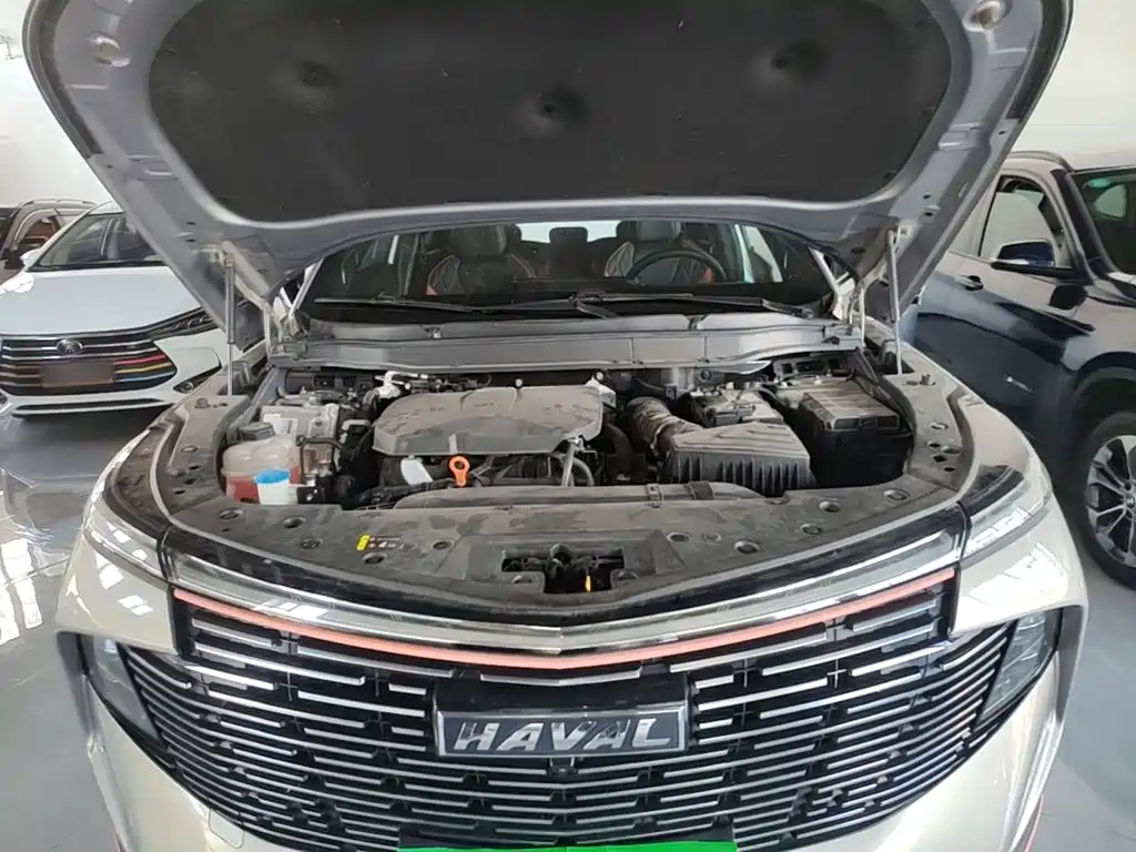 Haval Shenshou — миниатюра 20