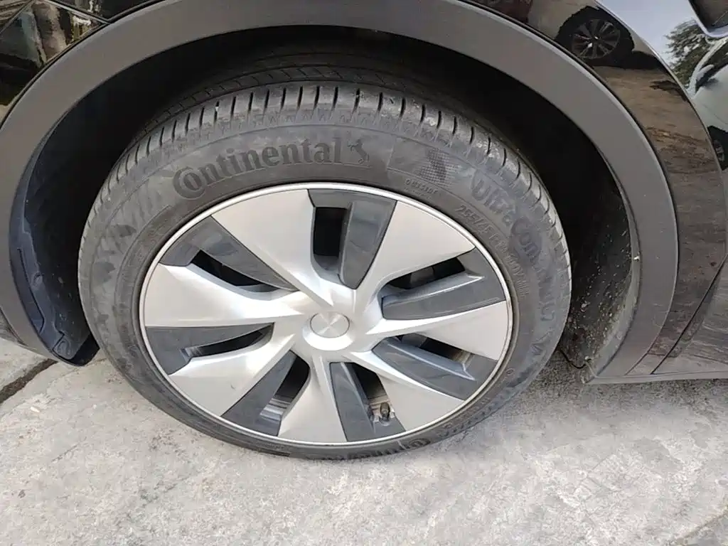 Tesla Model Y — миниатюра 23