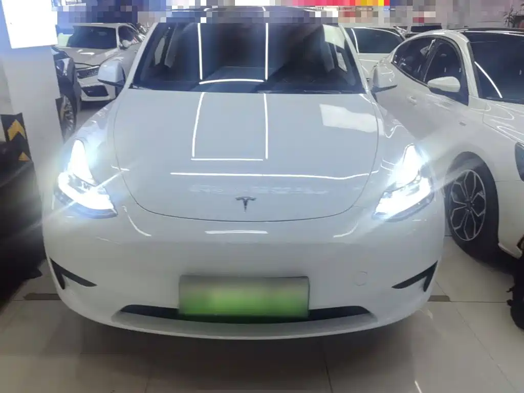Tesla Model Y — миниатюра 3