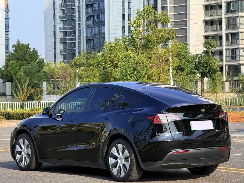 Tesla Model Y — миниатюра 7