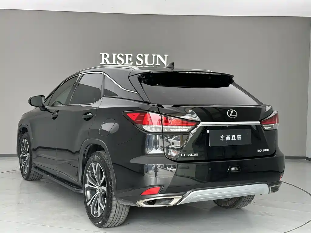 Lexus RX — миниатюра 5