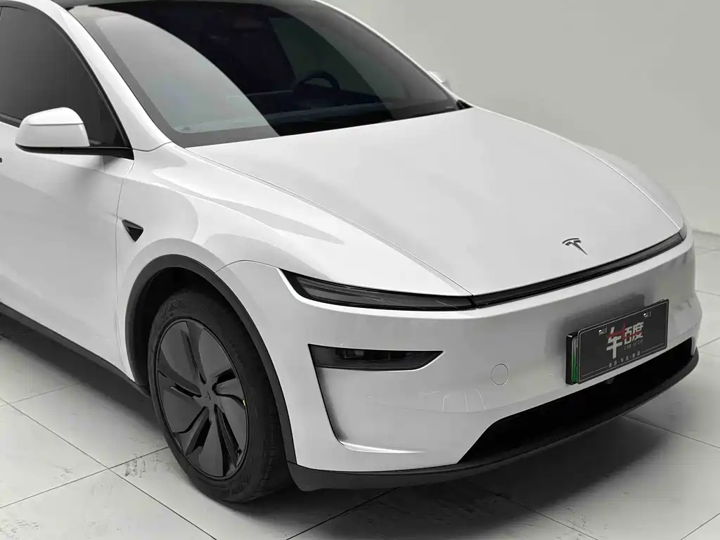 Tesla Model Y — миниатюра 19