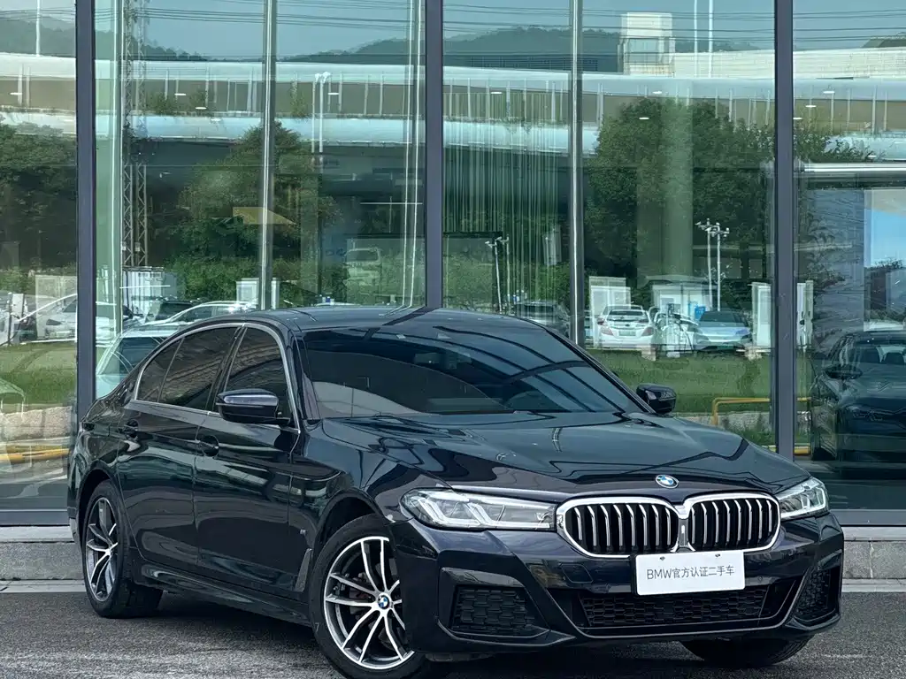 BMW 5 Series — миниатюра 10
