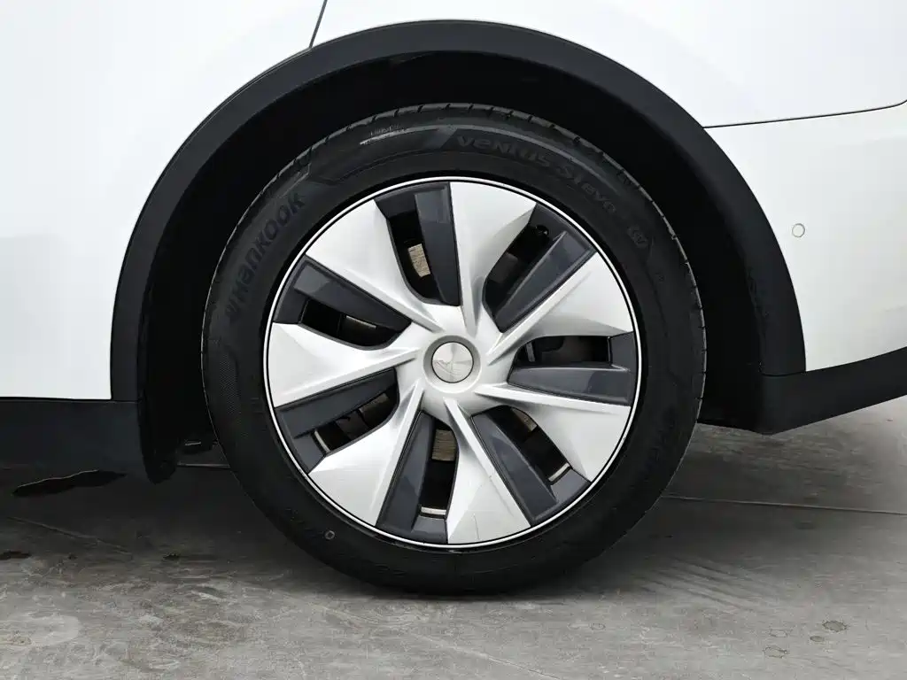 Tesla Model Y — миниатюра 10