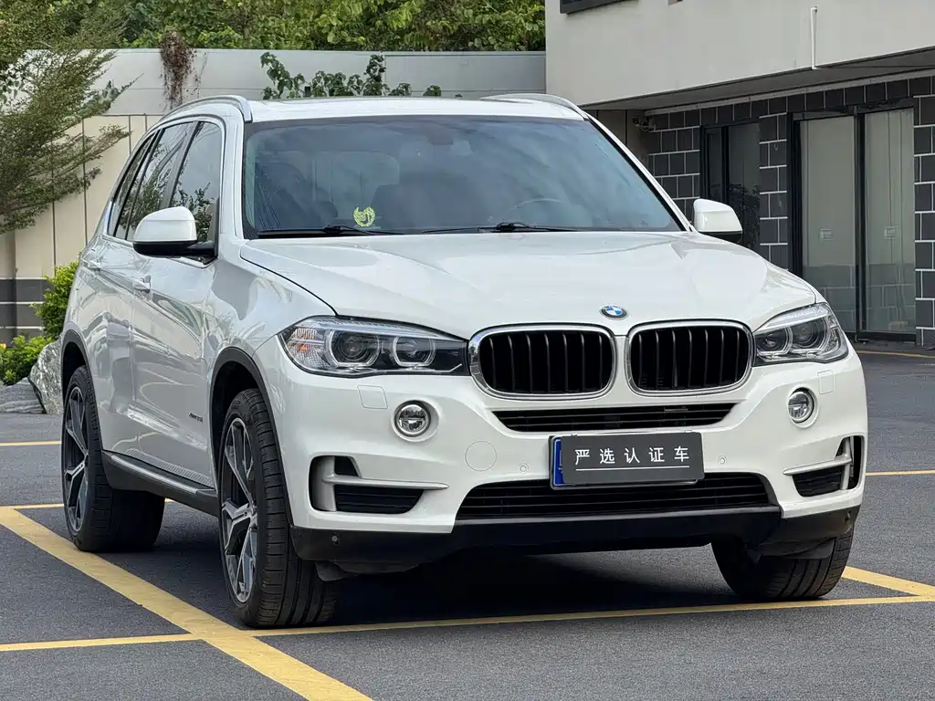 BMW X5 (Import) — миниатюра 3