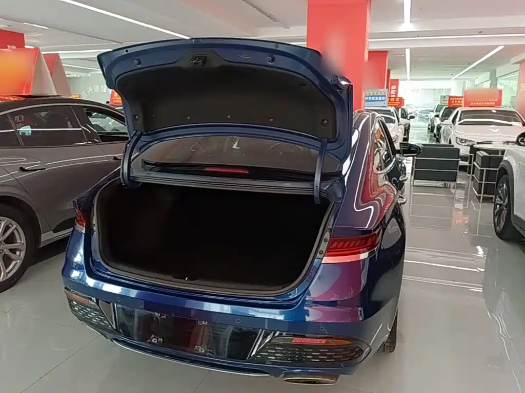 Hyundai Fista — миниатюра 19