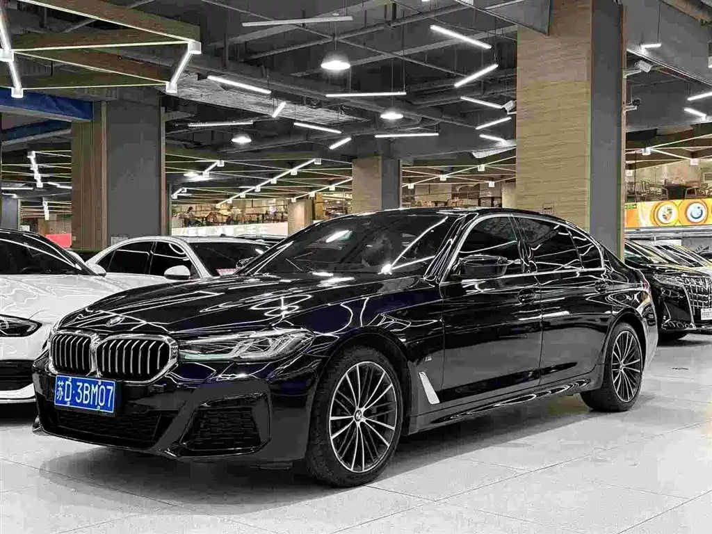 BMW 5 Series — миниатюра 2
