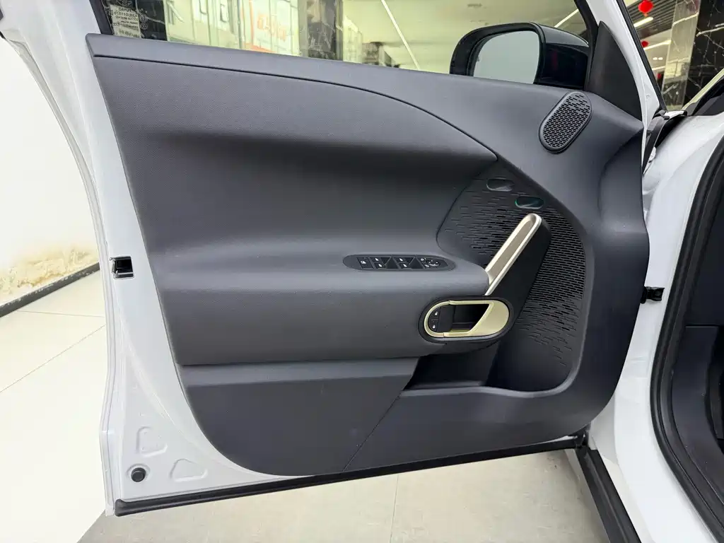 MINI MINI ACEMAN EV — миниатюра 9
