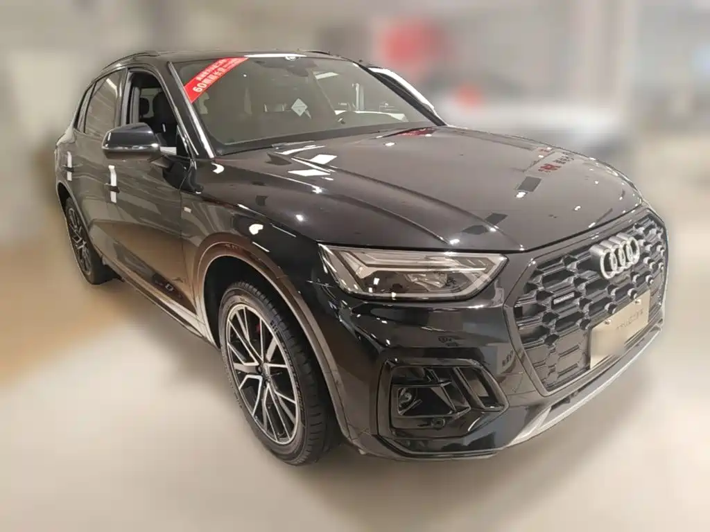 Audi Q5L — миниатюра 6