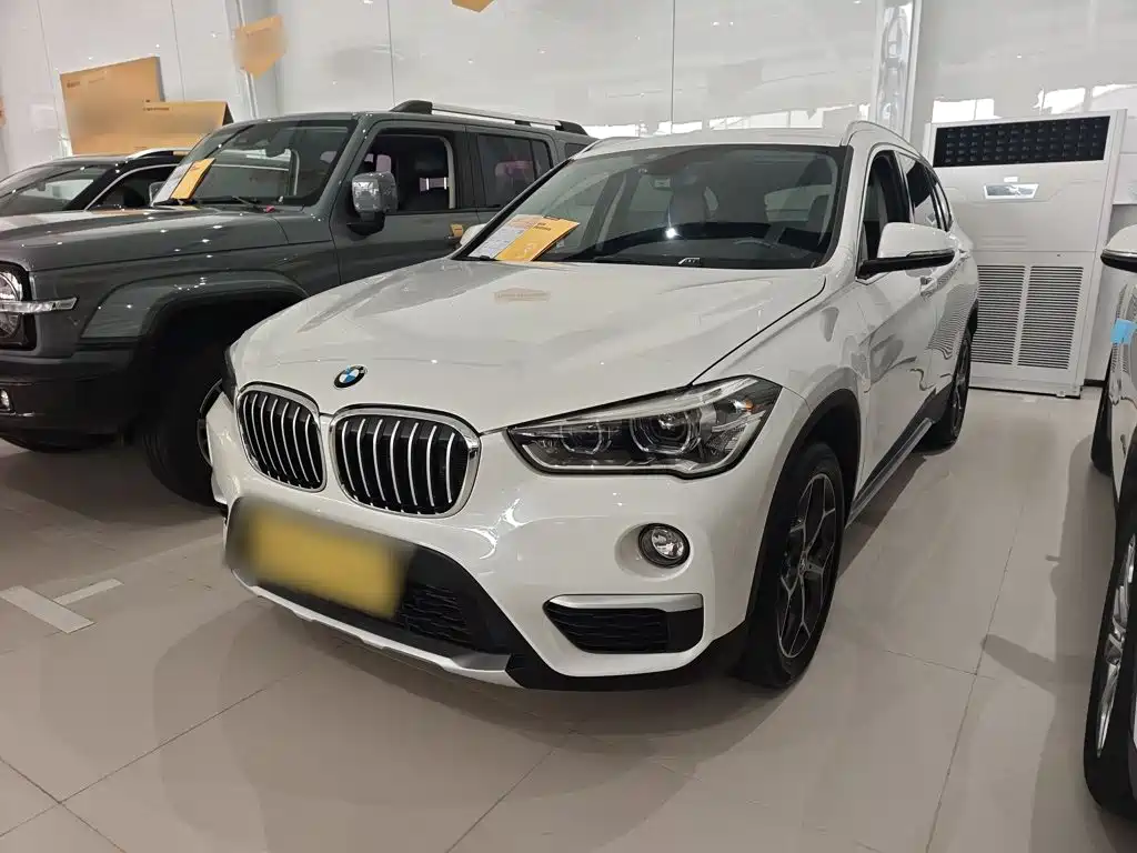 BMW X1 — миниатюра 2