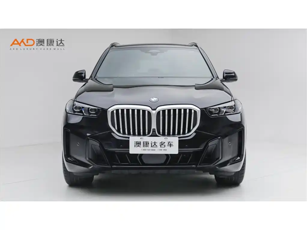 BMW X5 — миниатюра 2