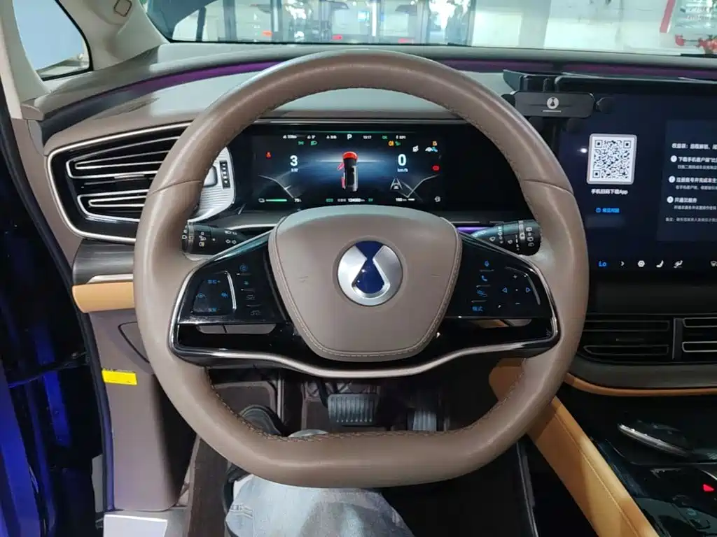 Denza Denza D9 — миниатюра 11