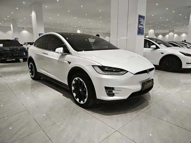 TESLA MODEL X 2020