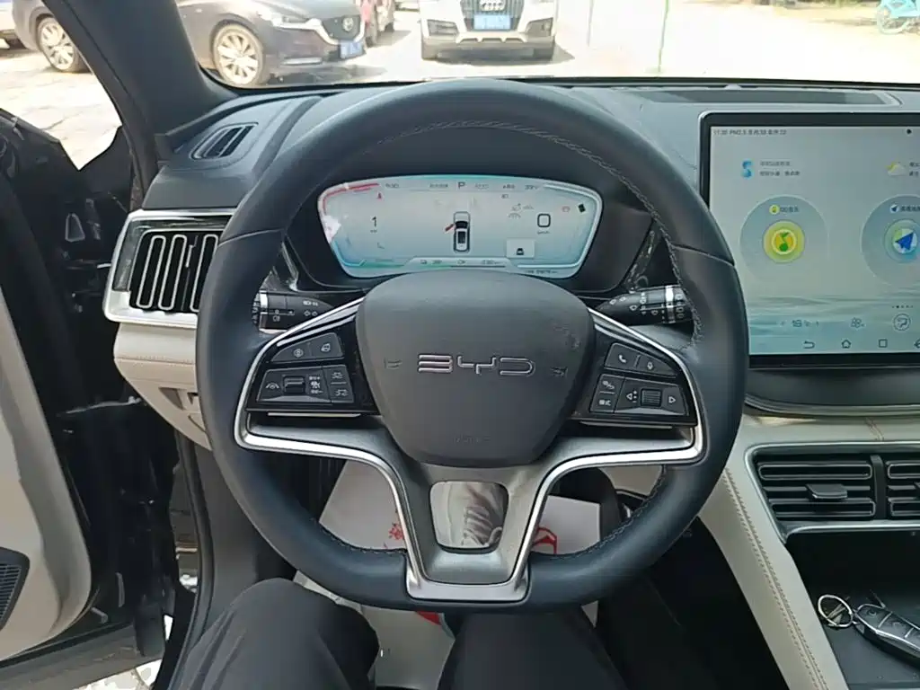 BYD PLUS New Energy — миниатюра 11