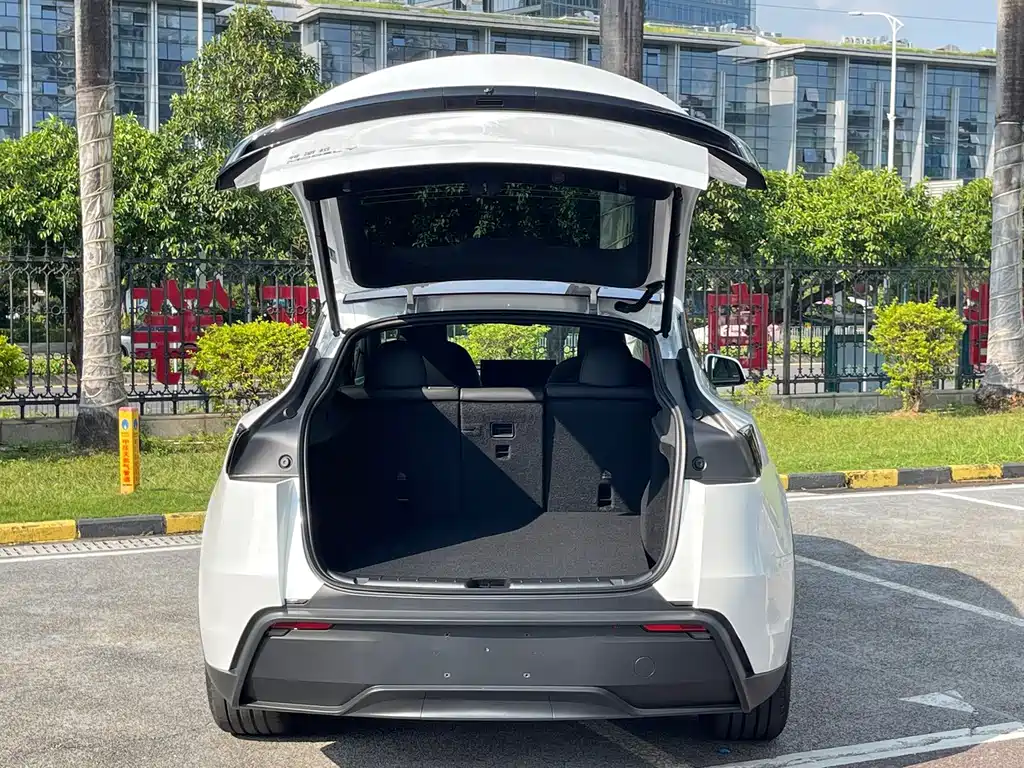 Tesla Model Y — миниатюра 11