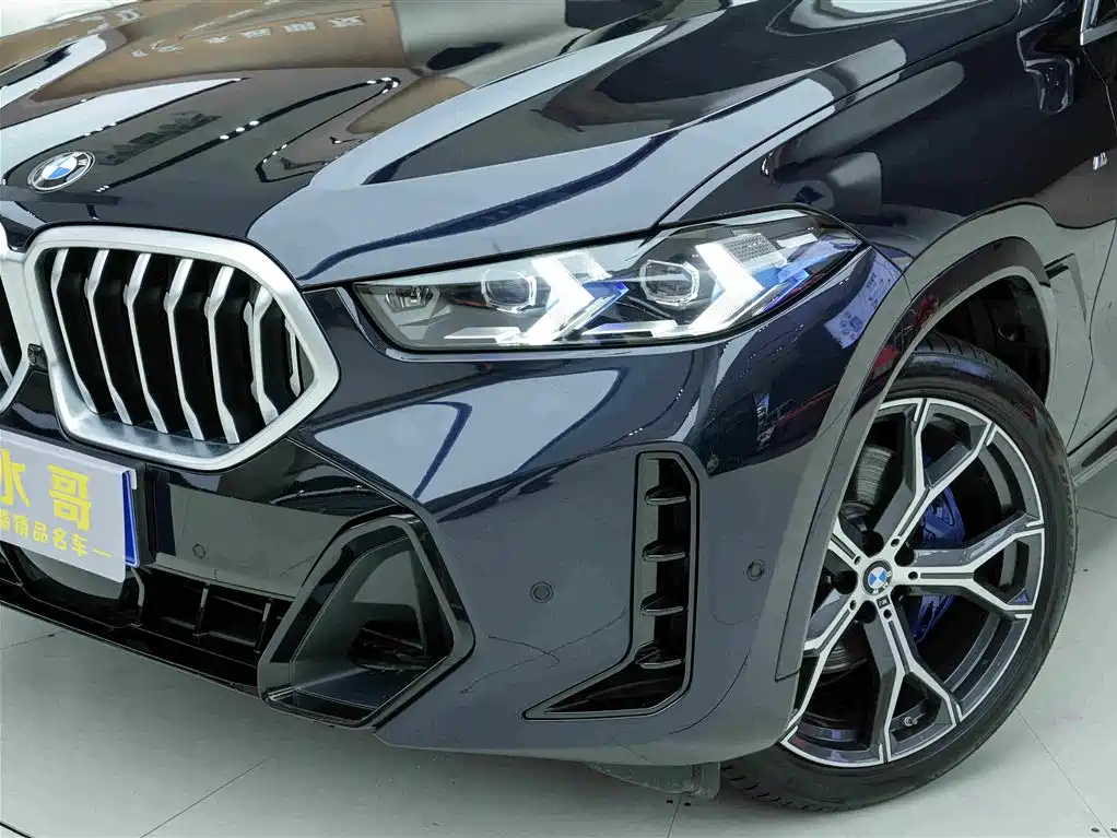 BMW X6 — миниатюра 17