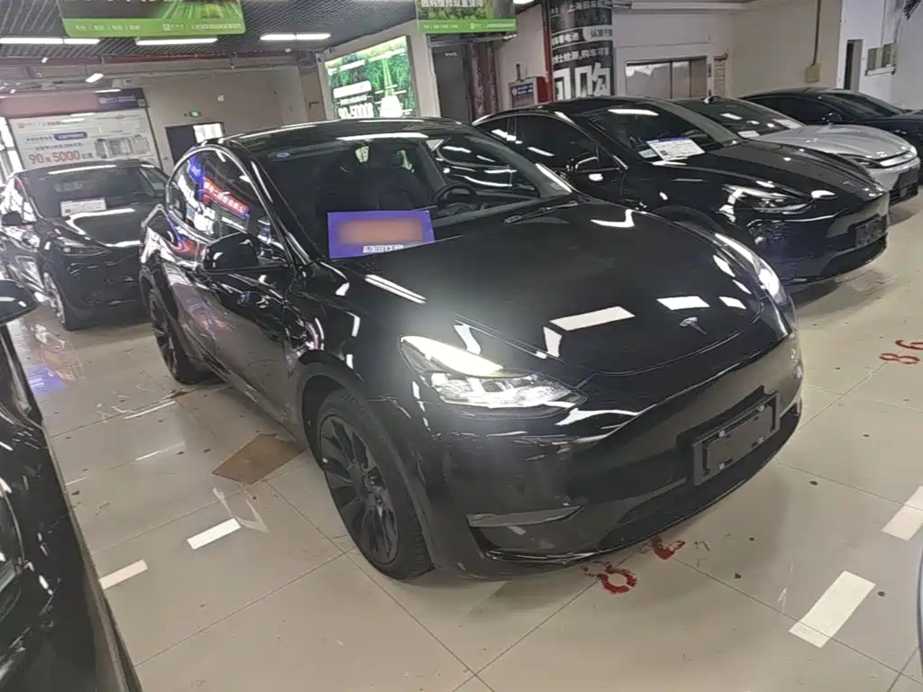 Tesla Model Y — миниатюра 4