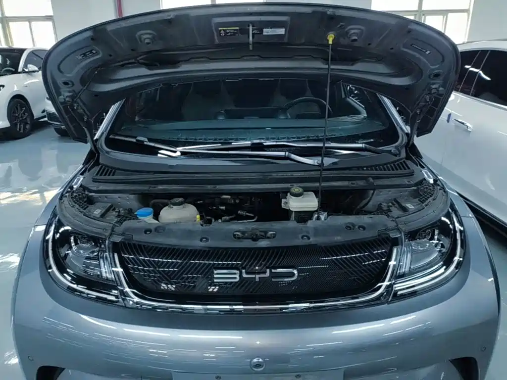 BYD Dolphin — миниатюра 20