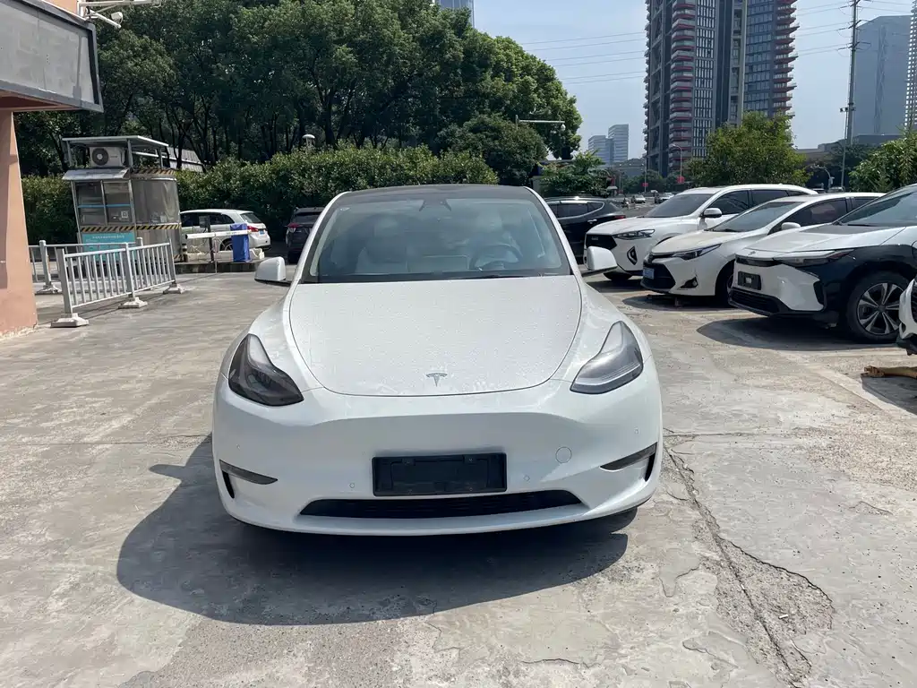 Tesla Model Y — миниатюра 2