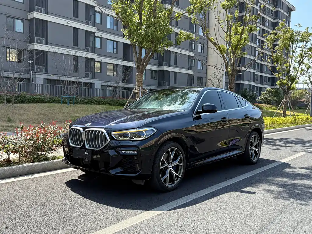 BMW X6 — миниатюра 3