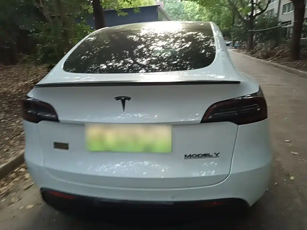 Tesla Model Y — миниатюра 6
