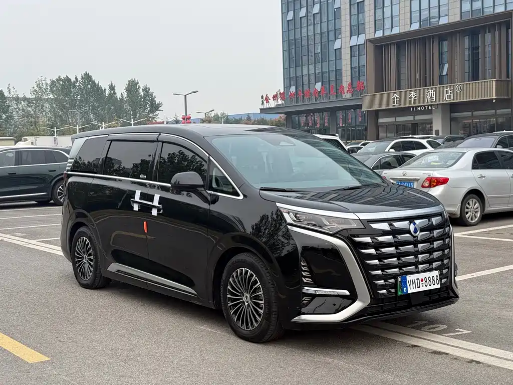 Denza Denza D9 — миниатюра 3