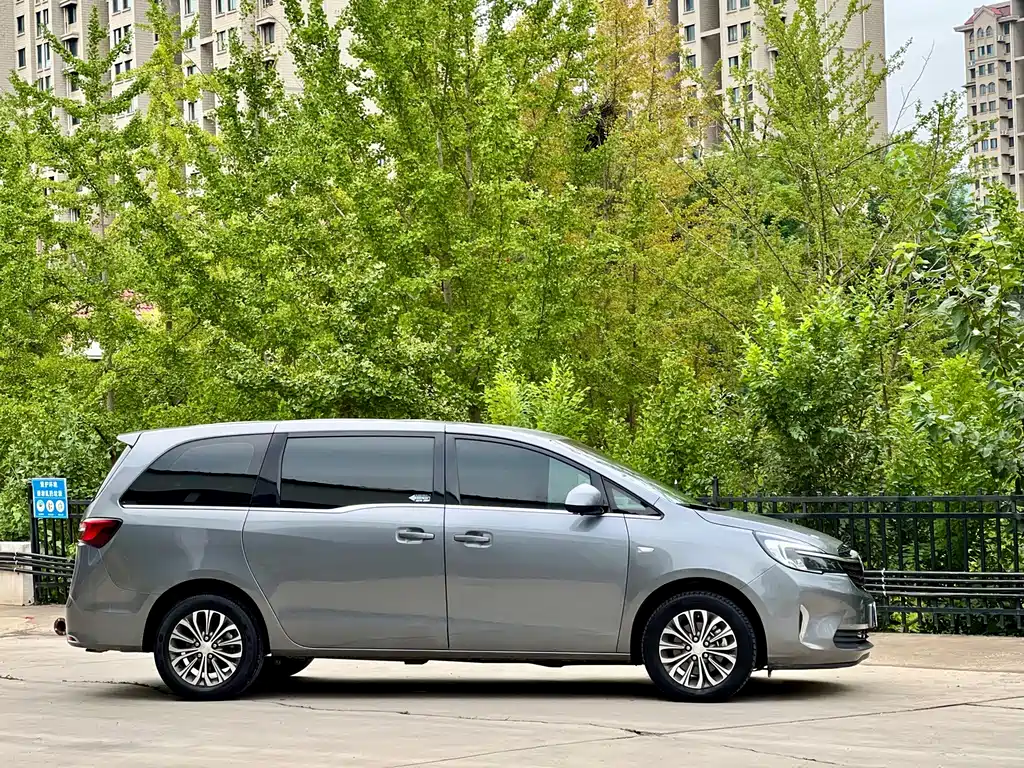 Buick GL8 — миниатюра 4