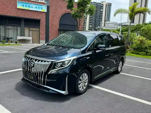 2020 GAC GN8
