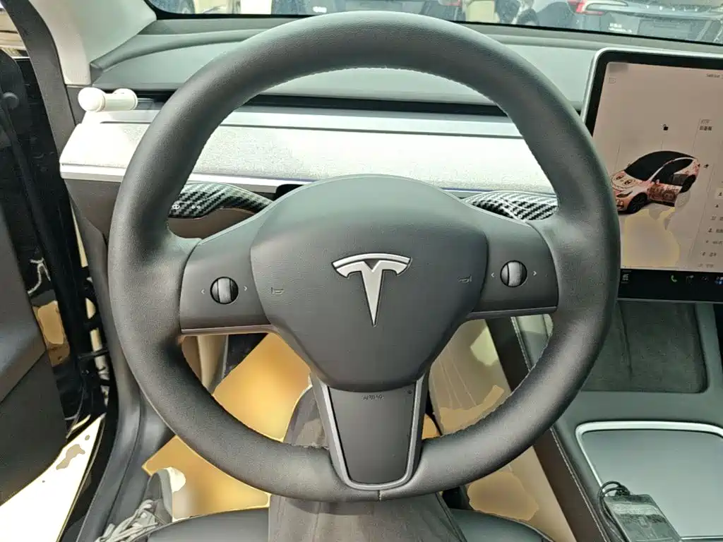 Tesla Model Y — миниатюра 11