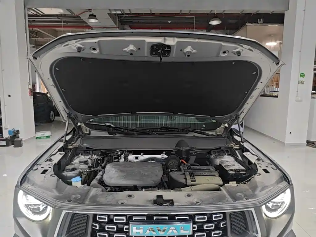 Haval Big Dog PLUS New Energy — миниатюра 20