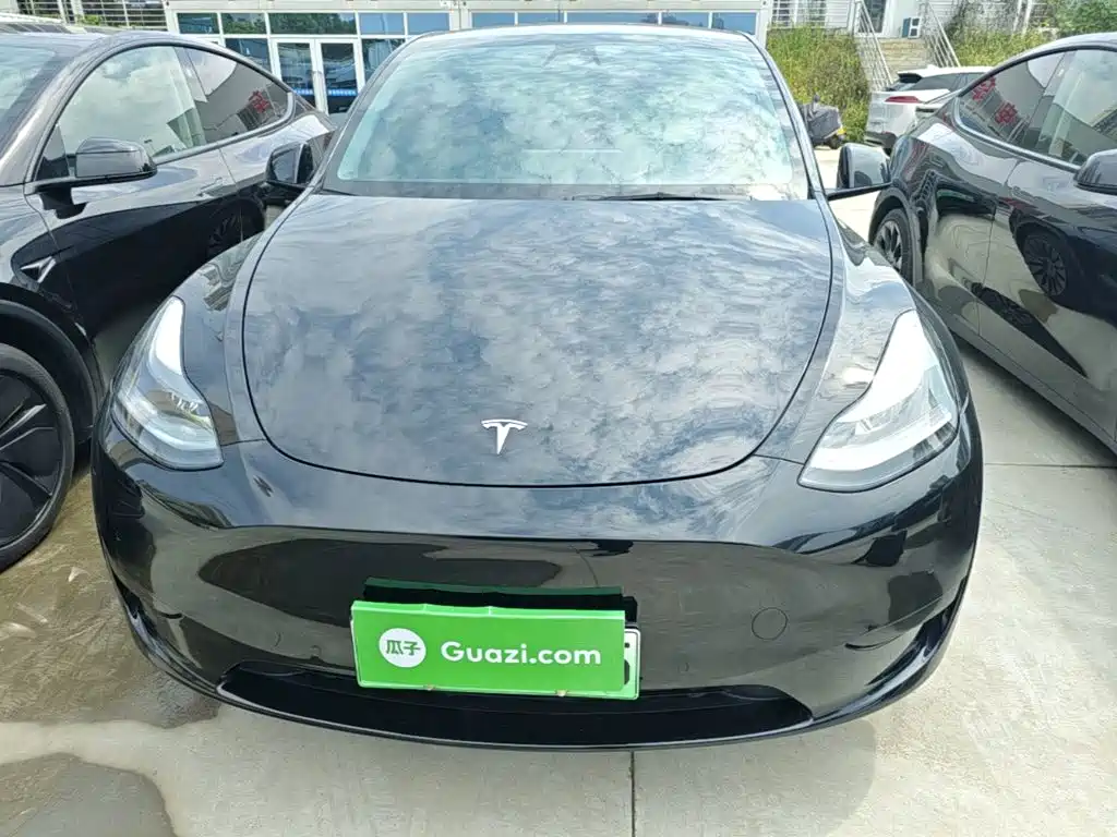 Tesla Model Y — миниатюра 3