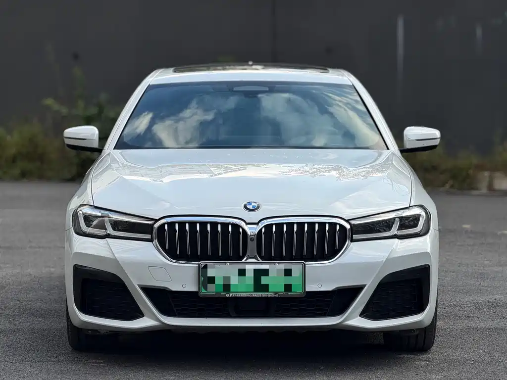 BMW 5 Series New Energy — миниатюра 2