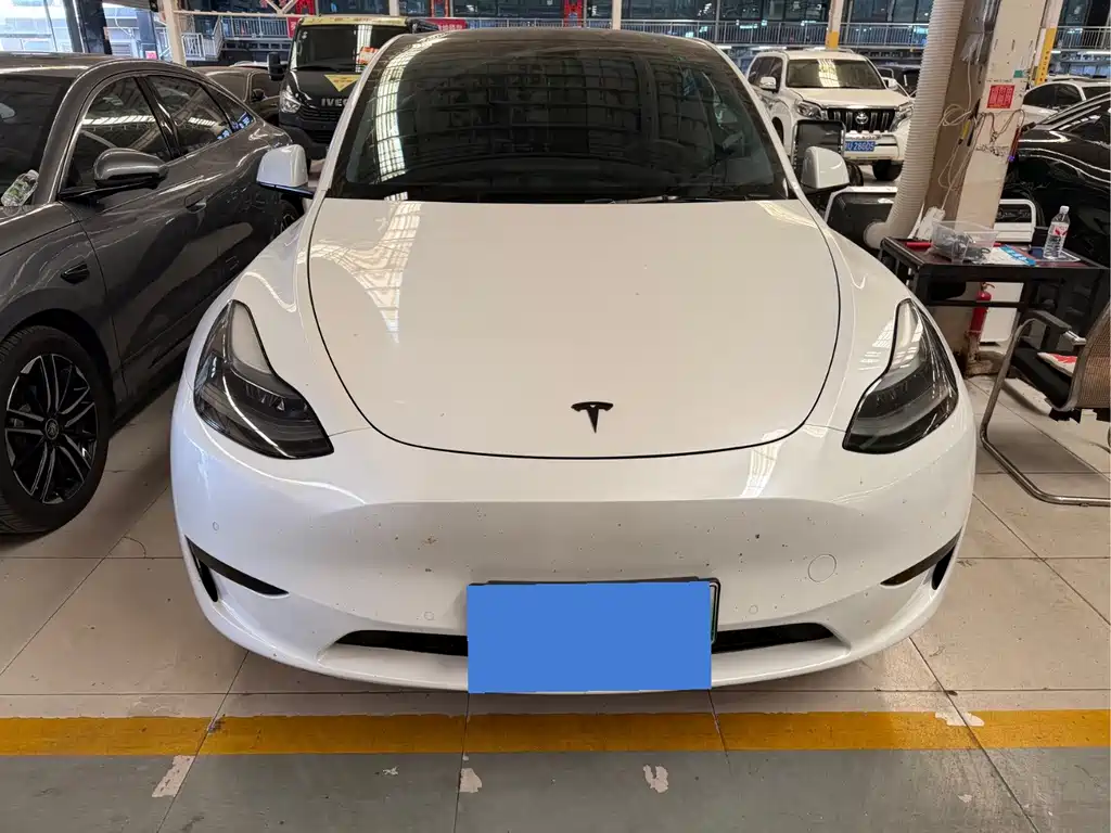Tesla Model Y — миниатюра 2