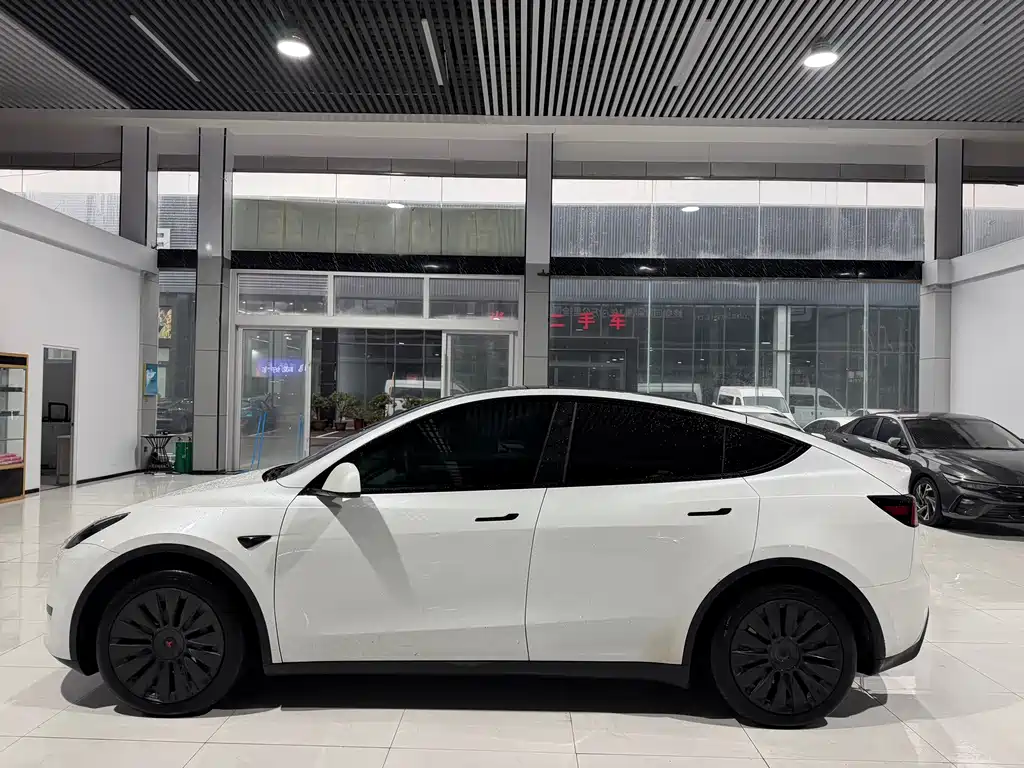 Tesla Model Y — миниатюра 3