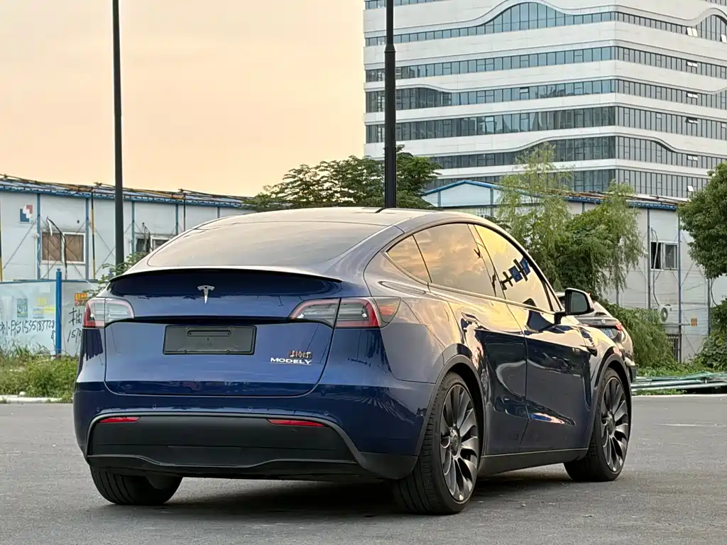 Tesla Model Y — миниатюра 5